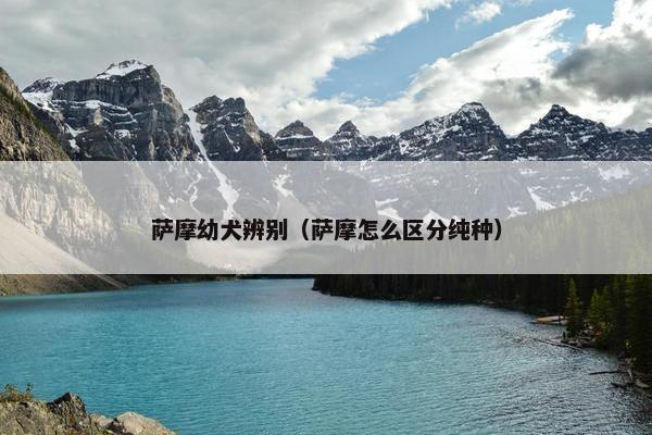 萨摩幼犬辨别（萨摩怎么区分纯种）