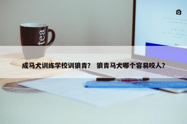 成马犬训练学校训狼青？ 狼青马犬哪个容易咬人？
