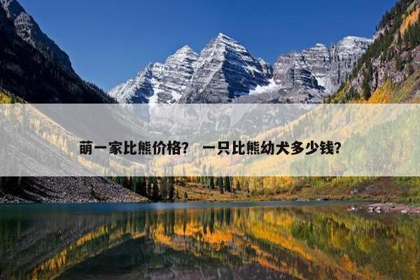 萌一家比熊价格？ 一只比熊幼犬多少钱？