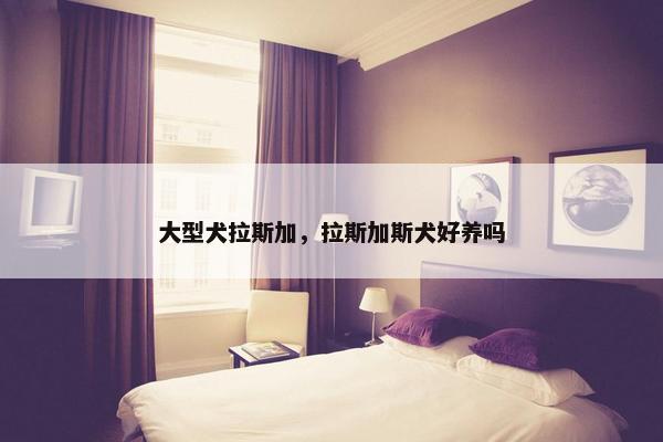 大型犬拉斯加，拉斯加斯犬好养吗