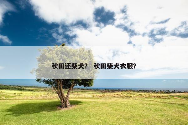 秋田还柴犬？ 秋田柴犬衣服？