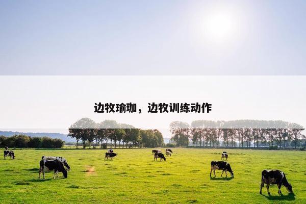 边牧瑜珈，边牧训练动作