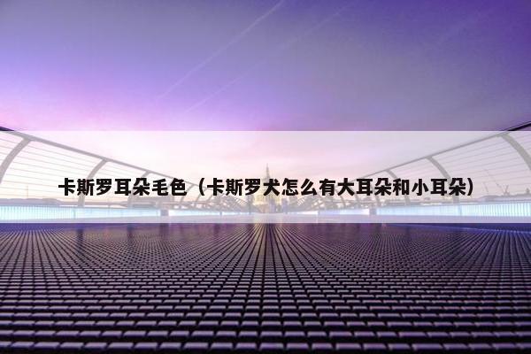 卡斯罗耳朵毛色（卡斯罗犬怎么有大耳朵和小耳朵）