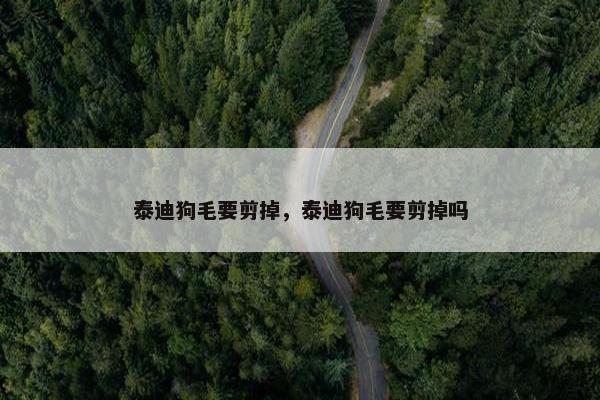 泰迪狗毛要剪掉，泰迪狗毛要剪掉吗