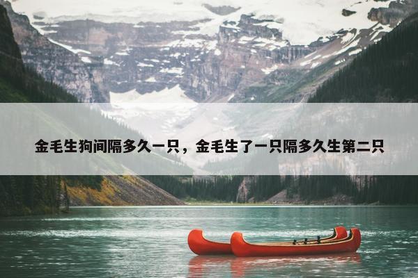 间隔