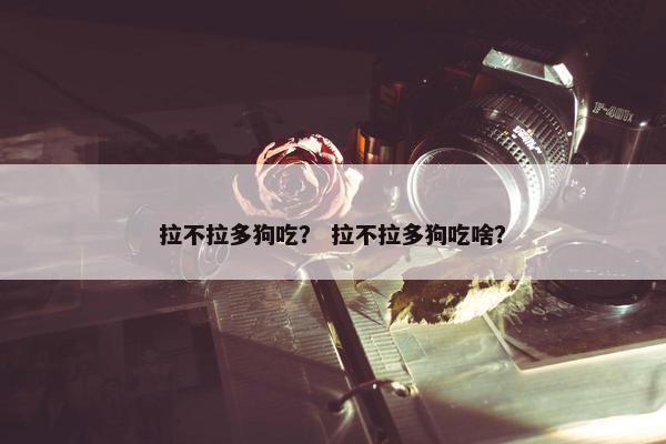 拉不拉多狗吃？ 拉不拉多狗吃啥？