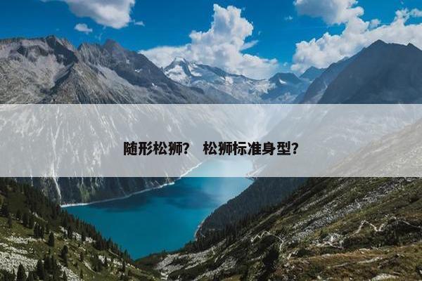 随形松狮？ 松狮标准身型？