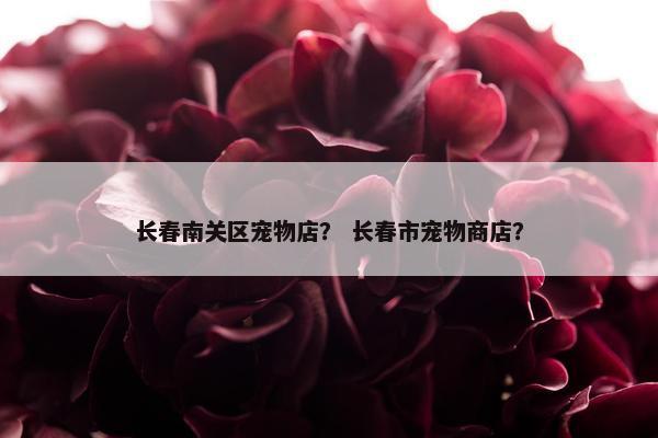 长春南关区宠物店？ 长春市宠物商店？