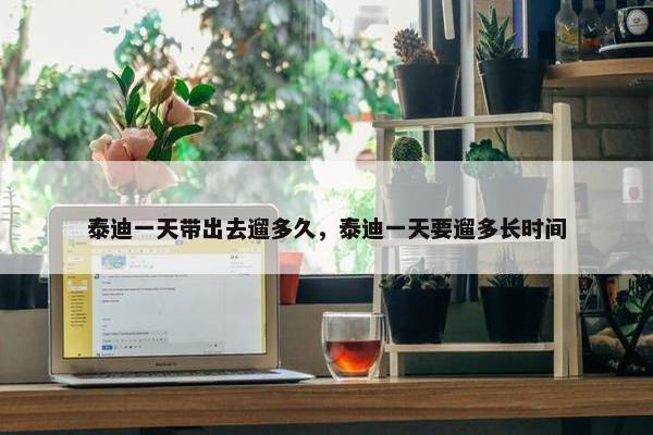 泰迪一天带出去遛多久，泰迪一天要遛多长时间