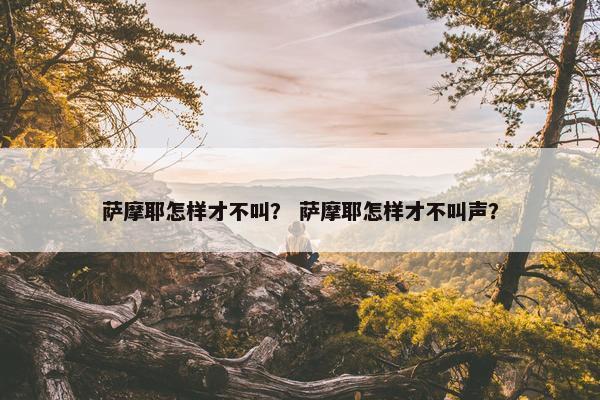 萨摩耶怎样才不叫？ 萨摩耶怎样才不叫声？