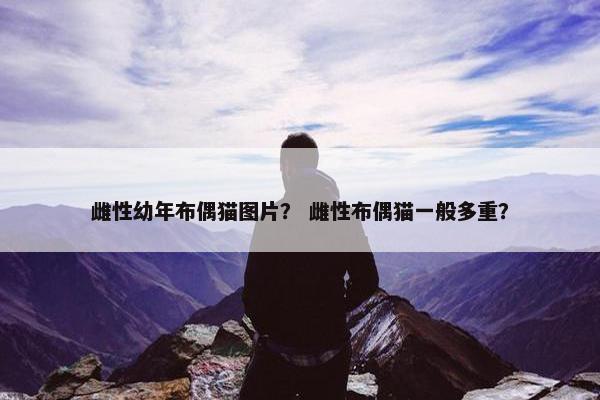 雌性幼年布偶猫图片？ 雌性布偶猫一般多重？
