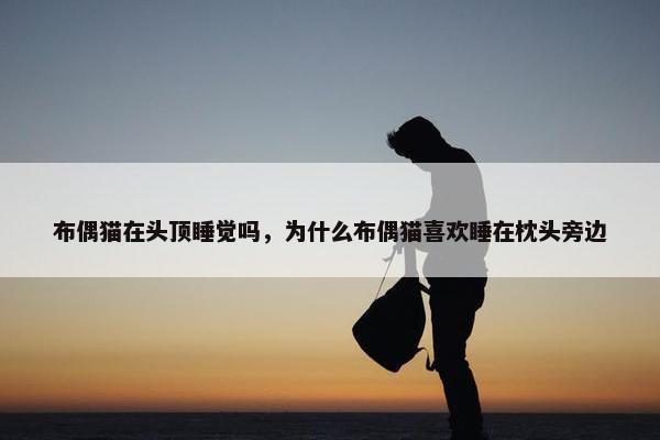 布偶猫在头顶睡觉吗，为什么布偶猫喜欢睡在枕头旁边