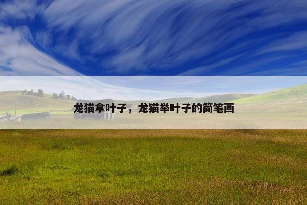 龙猫拿叶子，龙猫举叶子的简笔画