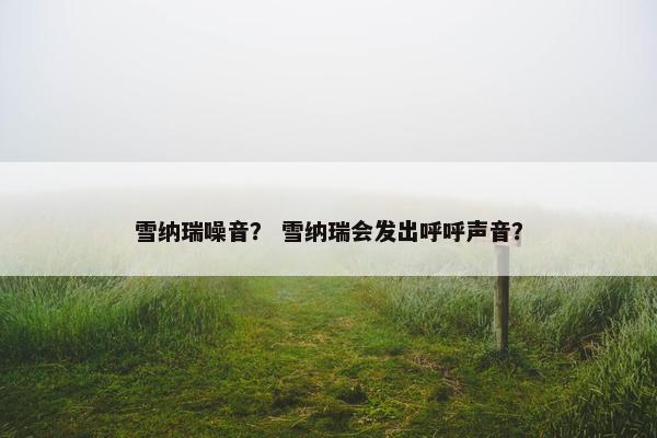 雪纳瑞噪音？ 雪纳瑞会发出呼呼声音？