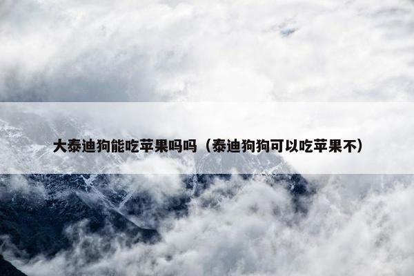 大泰迪狗能吃苹果吗吗（泰迪狗狗可以吃苹果不）