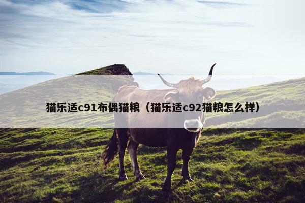 猫乐适c91布偶猫粮（猫乐适c92猫粮怎么样）