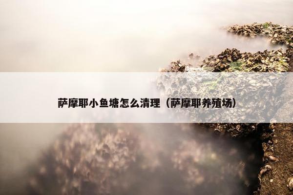萨摩耶小鱼塘怎么清理（萨摩耶养殖场）