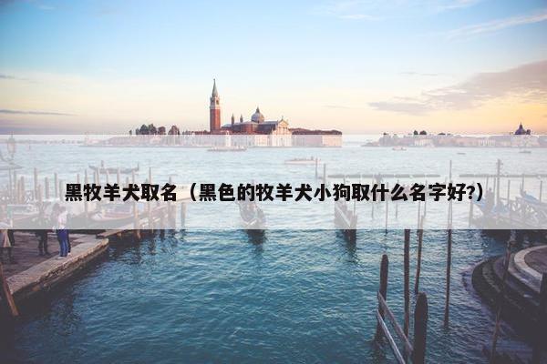 黑牧羊犬取名（黑色的牧羊犬小狗取什么名字好?）