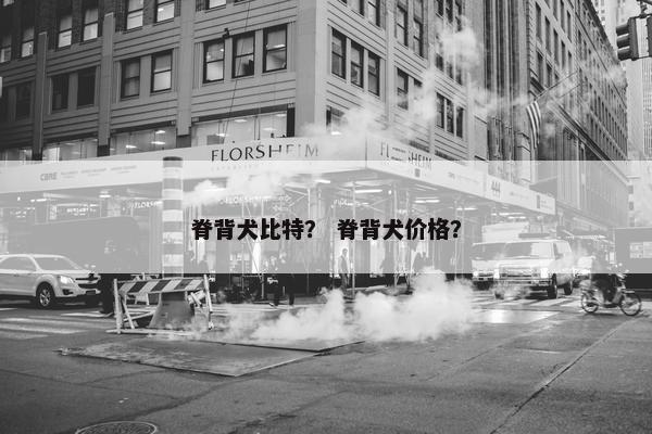脊背犬比特？ 脊背犬价格？