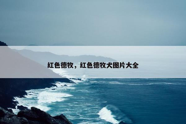 红色德牧，红色德牧犬图片大全