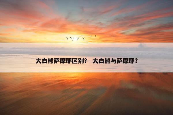 大白熊萨摩耶区别？ 大白熊与萨摩耶？
