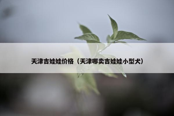 天津吉娃娃价格（天津哪卖吉娃娃小型犬）