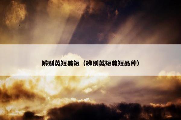 辨别英短美短（辨别英短美短品种）