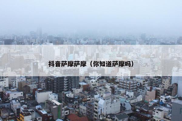 美食