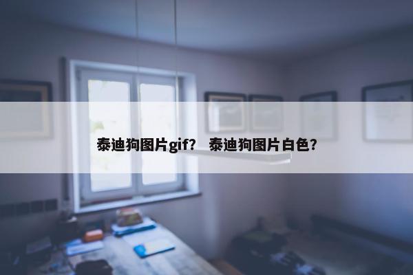 泰迪狗图片gif？ 泰迪狗图片白色？