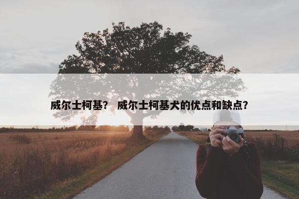 威尔士柯基？ 威尔士柯基犬的优点和缺点？