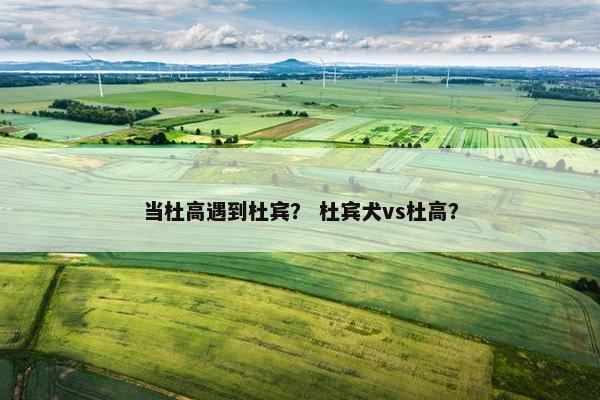当杜高遇到杜宾？ 杜宾犬vs杜高？