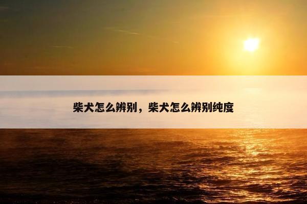 柴犬怎么辨别，柴犬怎么辨别纯度