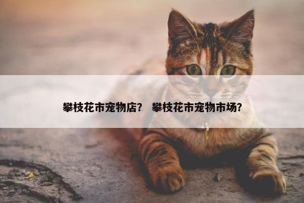 攀枝花市宠物店？ 攀枝花市宠物市场？