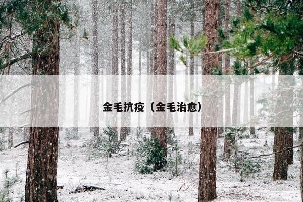 司机