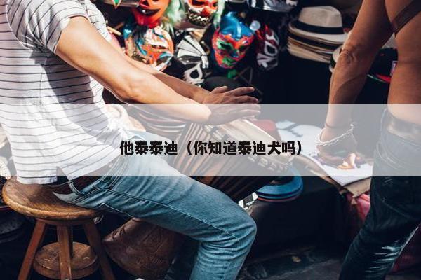 他泰泰迪（你知道泰迪犬吗）