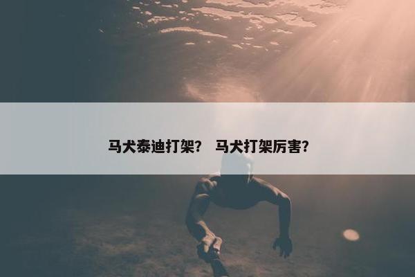 马犬泰迪打架？ 马犬打架厉害？