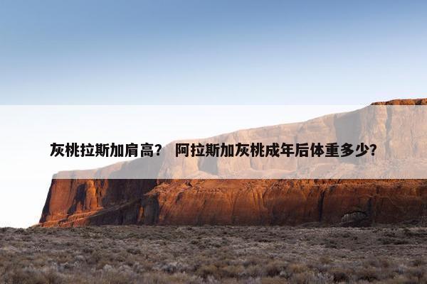 灰桃拉斯加肩高？ 阿拉斯加灰桃成年后体重多少？