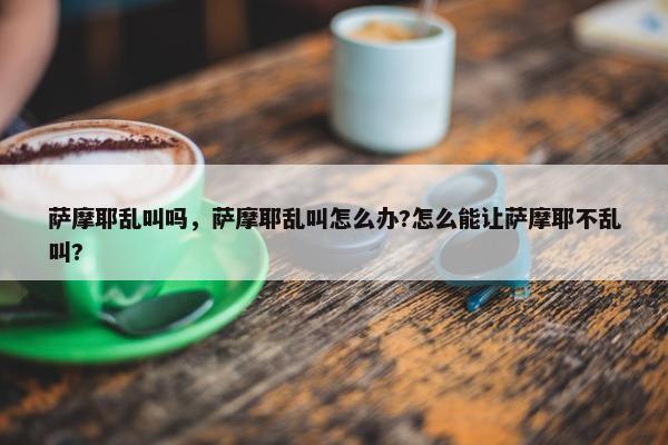 萨摩耶乱叫吗，萨摩耶乱叫怎么办?怎么能让萨摩耶不乱叫?