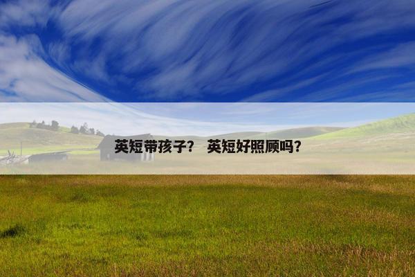 英短带孩子？ 英短好照顾吗？