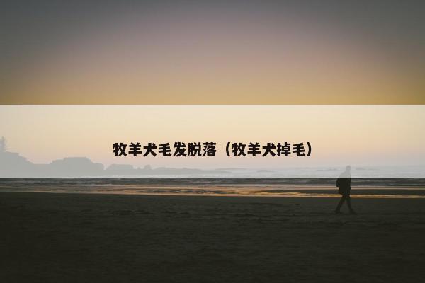 牧羊犬毛发脱落（牧羊犬掉毛）
