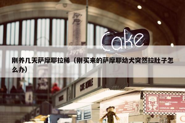 刚养几天萨摩耶拉稀（刚买来的萨摩耶幼犬突然拉肚子怎么办）
