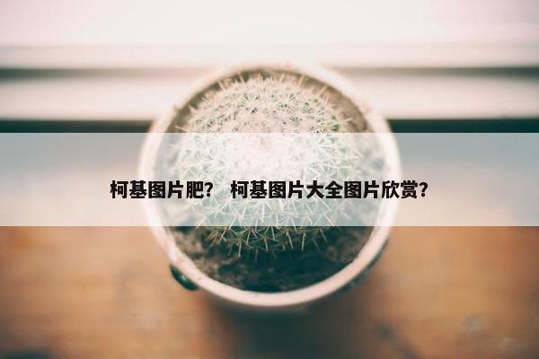 柯基图片肥？ 柯基图片大全图片欣赏？
