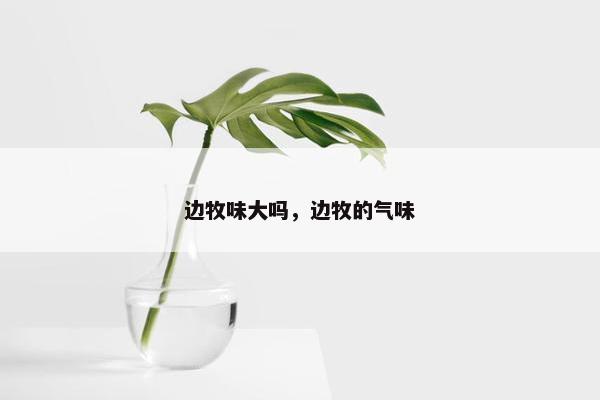 边牧味大吗，边牧的气味