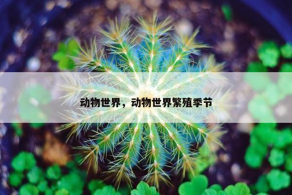 动物世界