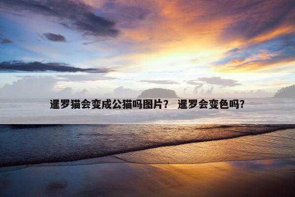 暹罗猫会变成公猫吗图片？ 暹罗会变色吗？