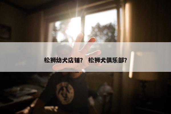 松狮幼犬店铺？ 松狮犬俱乐部？