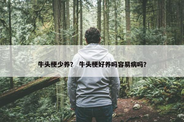 牛头梗少养？ 牛头梗好养吗容易病吗？