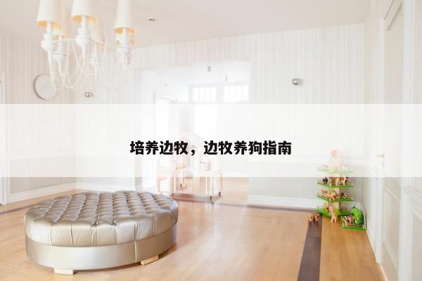 培养边牧，边牧养狗指南