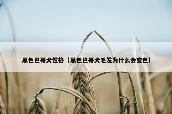 黑色巴哥犬性格（黑色巴哥犬毛发为什么会变色）