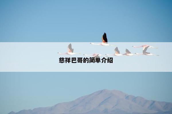 慈祥巴哥的简单介绍